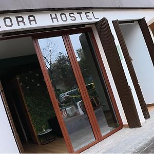 Aiora Hostel